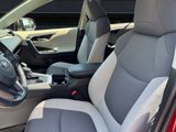 Used 2019 Toyota RAV4 XLE image 3
