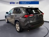 Used 2020 Toyota RAV4 XLE image 3