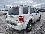 Used 2011 Ford Escape Limited w/ 302A Rapid Spec Order Code image 2