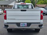 Used 2020 Chevrolet Silverado 1500 W/T w/ WT Fleet Convenience Package image 4