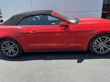 Used 2017 Ford Mustang Premium image 4