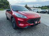 Used 2021 Ford Escape SE w/ SE Sport Appearance Package image 3