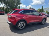 Used 2020 Ford Escape SEL image 5