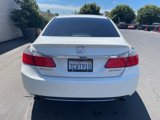 Used 2014 Honda Accord Sport image 5