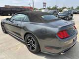 Used 2018 Ford Mustang Premium image 6