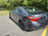 Used 2019 Toyota Corolla LE image 3