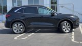 Used 2024 Ford Escape Platinum w/ Class II Trailer Tow Package image 4