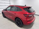 Used 2023 Ford Escape ST-Line Elite image 6