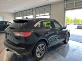 Used 2020 Ford Escape SEL image 6