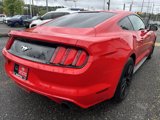 Used 2017 Ford Mustang Coupe w/ Ecoboost Performance Package image 5