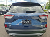 Used 2020 Ford Escape SE image 5