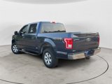 Used 2015 Ford F150 XL w/ Equipment Group 101A Mid image 4