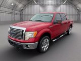 Used 2010 Ford F150 XLT image 2