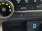 Used 2020 Ford Escape SE image 5