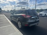 Used 2016 Ford Escape SE w/ SE Chrome Package image 6