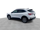 Used 2022 Ford Escape Titanium image 6