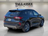 Used 2024 Ford Escape ST-Line image 5