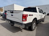 Used 2016 Ford F150 XLT w/ Equipment Group 302A Luxury image 5