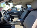 Used 2022 Ford Escape SE w/ Convenience Package image 4