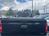 Used 2021 Ford F150 XLT w/ Equipment Group 302A High image 5