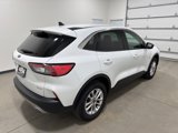 Used 2022 Ford Escape SE w/ Convenience Package image 4