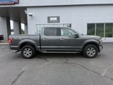 Used 2019 Ford F150 XLT w/ Equipment Group 302A Luxury image 2