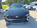 Used 2019 Ford Mustang GT Premium w/ GT Performance Package image 4