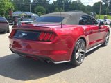 Used 2015 Ford Mustang Premium w/ Equipment Group 201A image 5