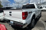 Used 2012 Ford F150 XLT w/ XLT Chrome Pkg image 2