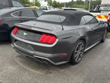 Used 2019 Ford Mustang Premium w/ Equipment Group 201A image 4
