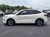Used 2023 Ford Escape ST-Line w/ Tech Pack #1 image 4