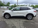 Used 2020 Ford Escape SE image 4