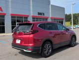 Used 2020 Honda CR-V EX-L image 5