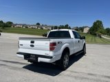 Used 2014 Ford F150 STX w/ Equipment Group 201A Mid image 5