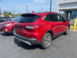 Used 2020 Ford Escape SEL image 3
