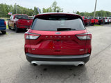 Used 2020 Ford Escape SE image 5