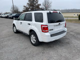 Used 2010 Ford Escape XLT image 5