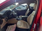 Used 2021 Ford Escape Titanium image 5