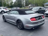 Used 2022 Ford Mustang Premium image 3