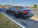 Used 2018 Ford Mustang GT Premium w/ GT Performance Package image 3