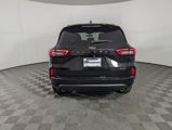 New 2024 Ford Escape ST-Line w/ Tech Pack #1 image 5