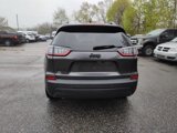 Used 2023 Jeep Cherokee Altitude Lux image 4