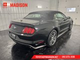 Used 2015 Ford Mustang Premium image 5