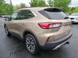 Used 2020 Ford Escape Titanium image 4