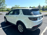 Used 2020 Land Rover Discovery Sport image 4