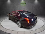 Used 2021 Cadillac CT4 Premium Luxury w/ Climate Package image 5