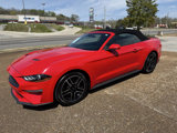 Used 2022 Ford Mustang Premium image 2