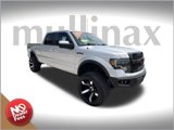 Used 2010 Ford F150 FX4 image 1