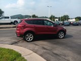 Used 2019 Ford Escape Titanium image 6