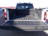 Used 2023 Ford F150 XLT image 4